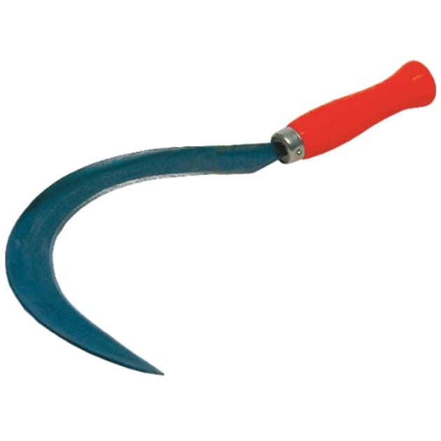 252103480 SIGD STOR.jpg