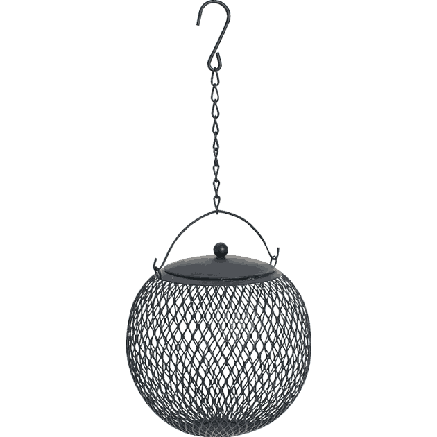 2556 Fuglemater Globe nøtt_1.png