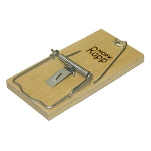 MUSEFELLE NR 1  980       RAPP