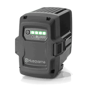 BLI 300 PROFFBATTERI 36V  59,3AH