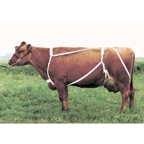 252100101 Jurbeskytter komplett.jpg