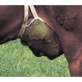 252100107 Reserve jurnett XL.jpg