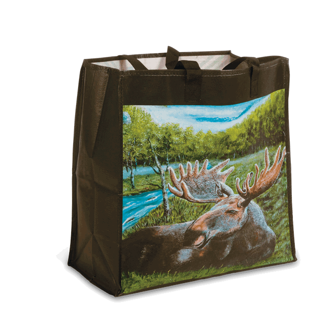 256000586_Rel 586-baerebag-elg.png